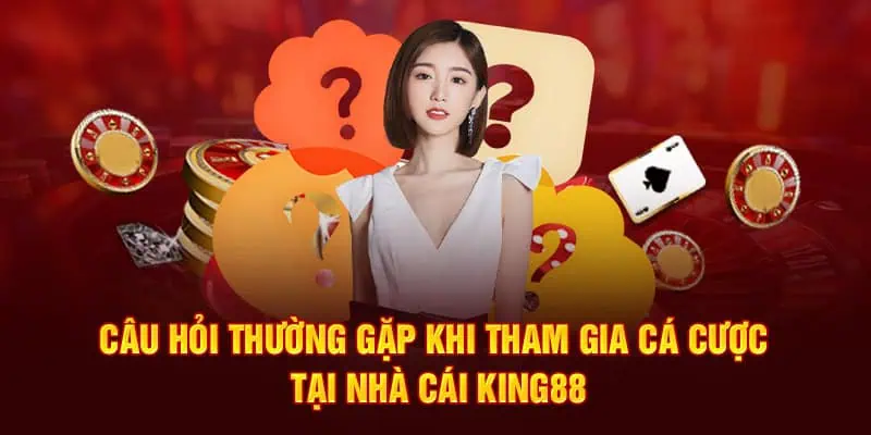 Câu hỏi thường gặp