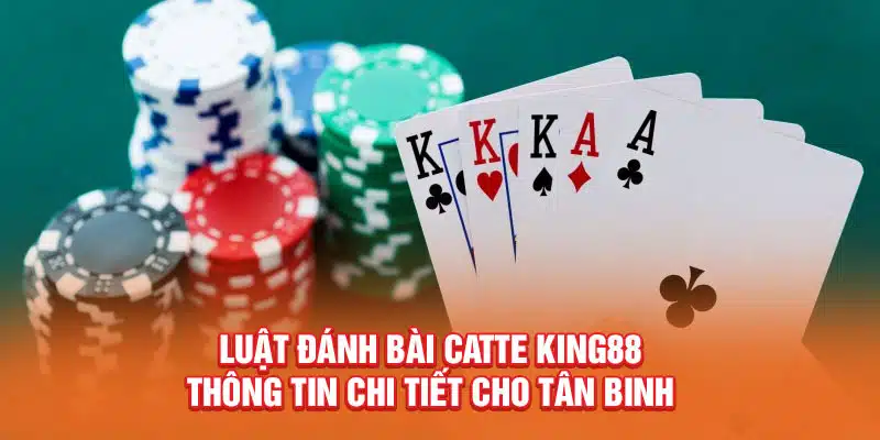 luat-danh-bai-catte-king88-thong-tin-chi-tiet-cho-tan-binh